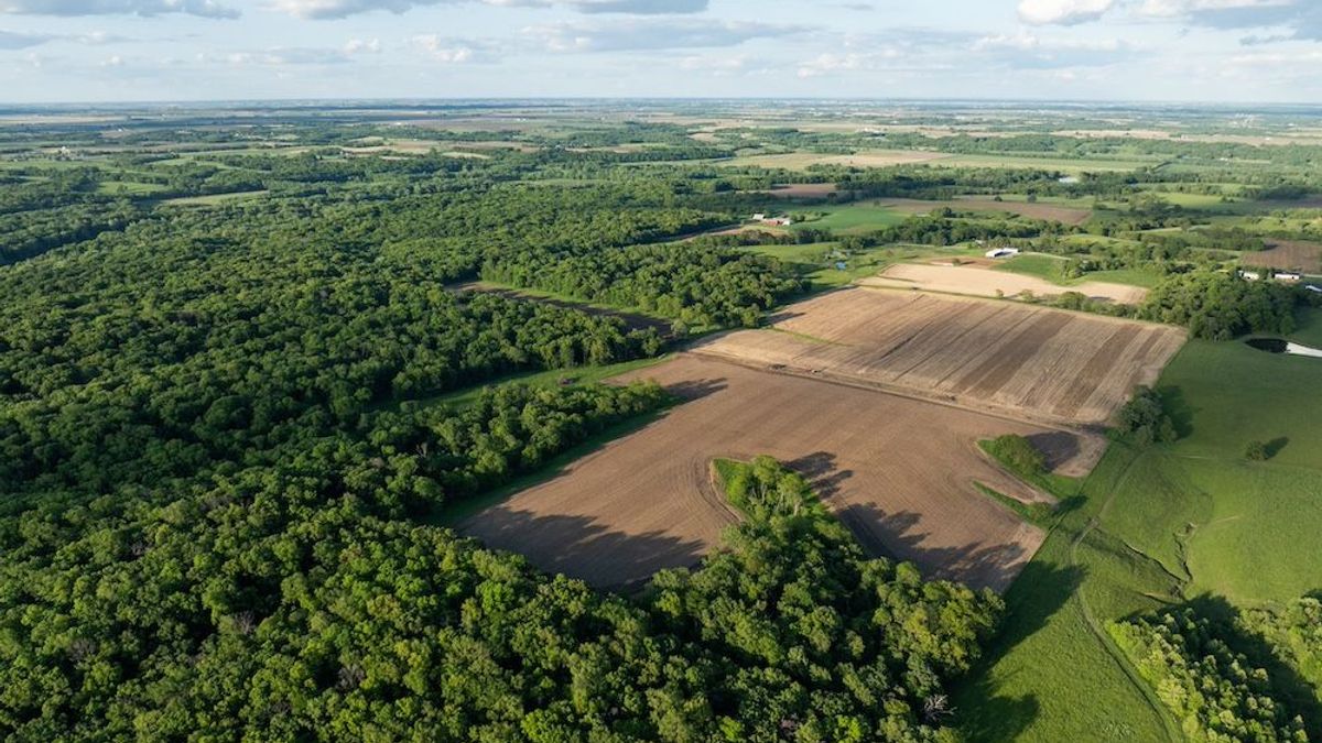 Majestic Farm Located Next To A No-Hunting Refuge And Skunk River In ...