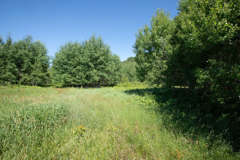 11 another possible food plot location