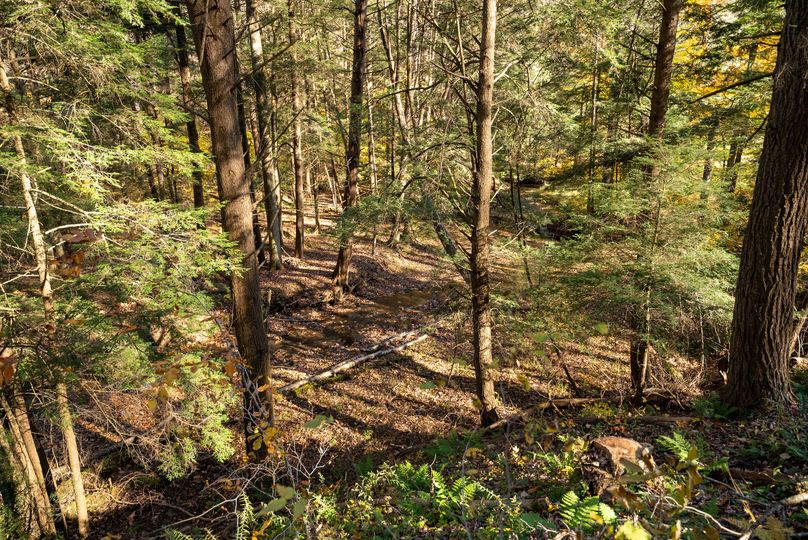 Elk PA 7000 Feature_Pro Photo-127