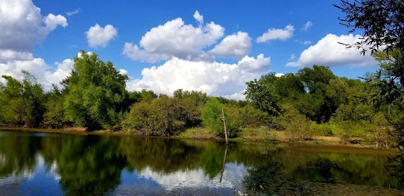 1. pond stocked with catfish
