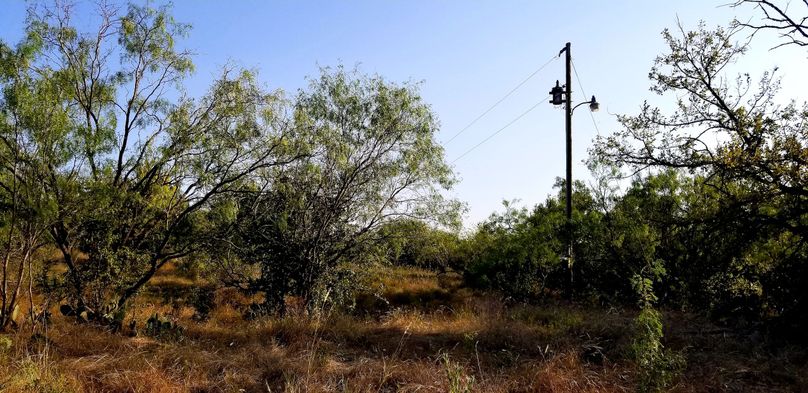 10. electrical pole near campsite   pond
