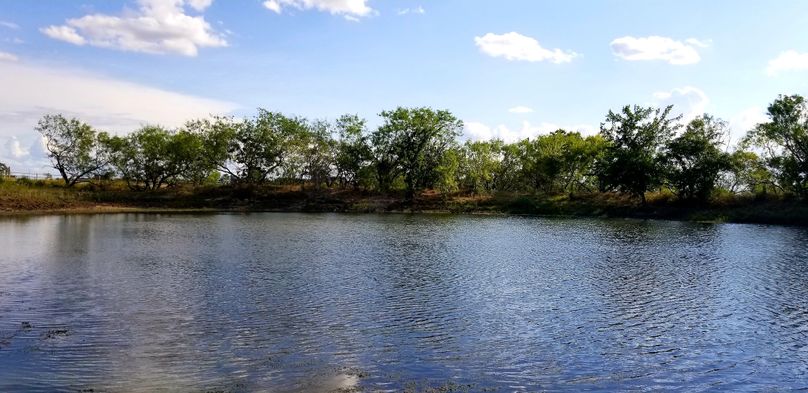 28. pond stocked with bass at sw corner