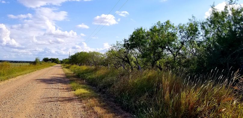 23.  east fenceline looking south along county road