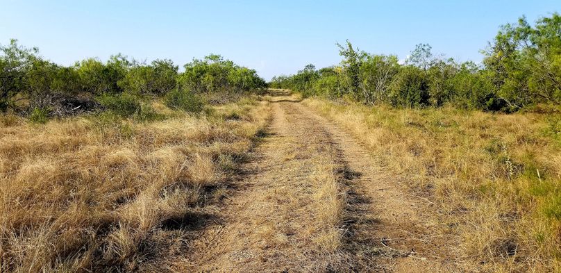 5. road to pond and campsite