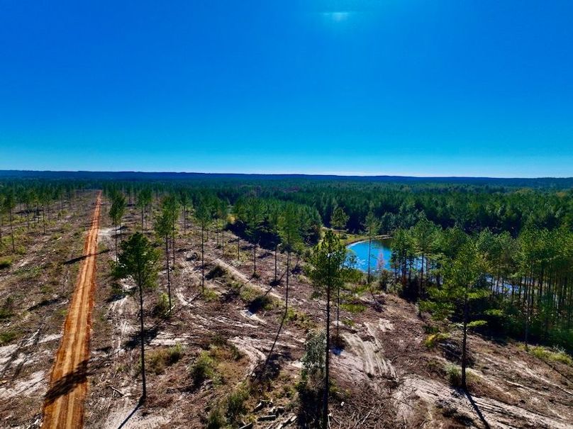 B72C4DAF-4D9D-4354-9BBA-1052374C0C7D_1_201_a