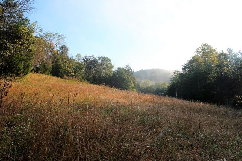 002 the fog is lifting across this fall meadow along the southwest portion of the property