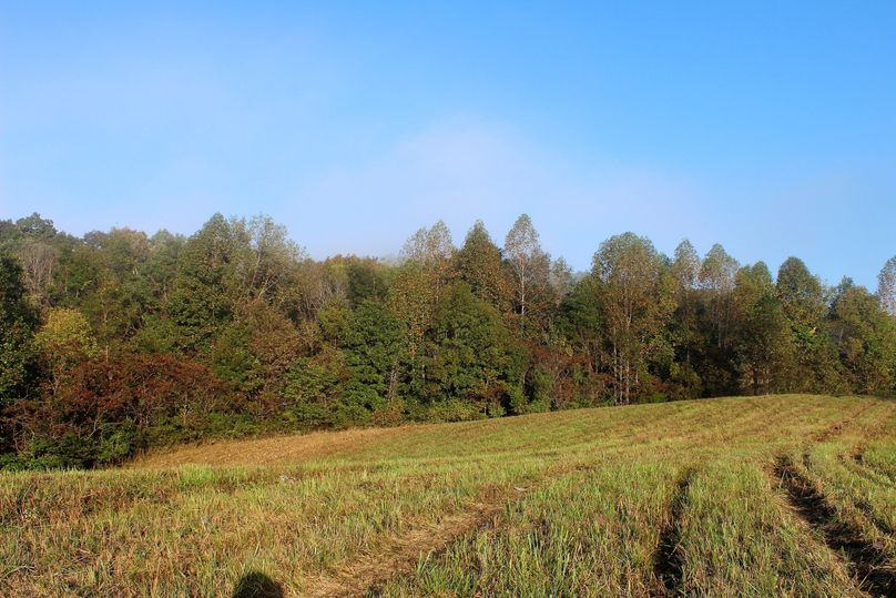 007 beautiful rolling meadow with the fall colors in the background