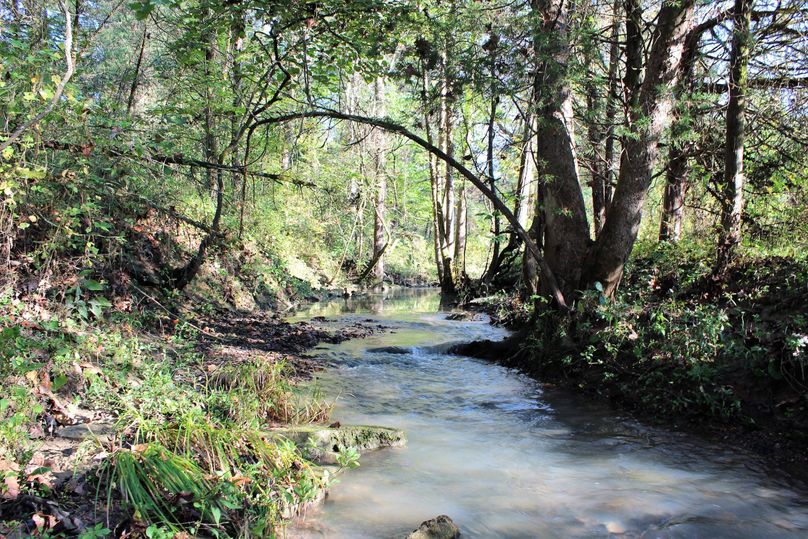 005 year-round stream flowing through the middle of the property