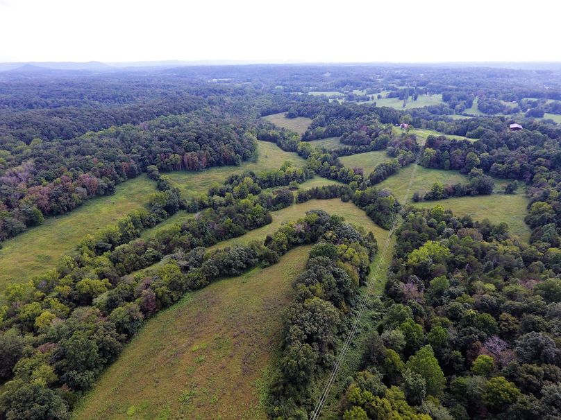 008 network of beautiful pasture fields along the northeast area of the property-2
