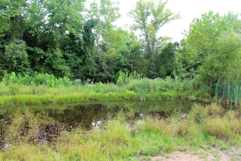 009 small pond in the northeastern area of the property-2