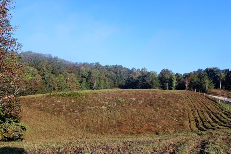 013 rolling meadow to the north area of the property
