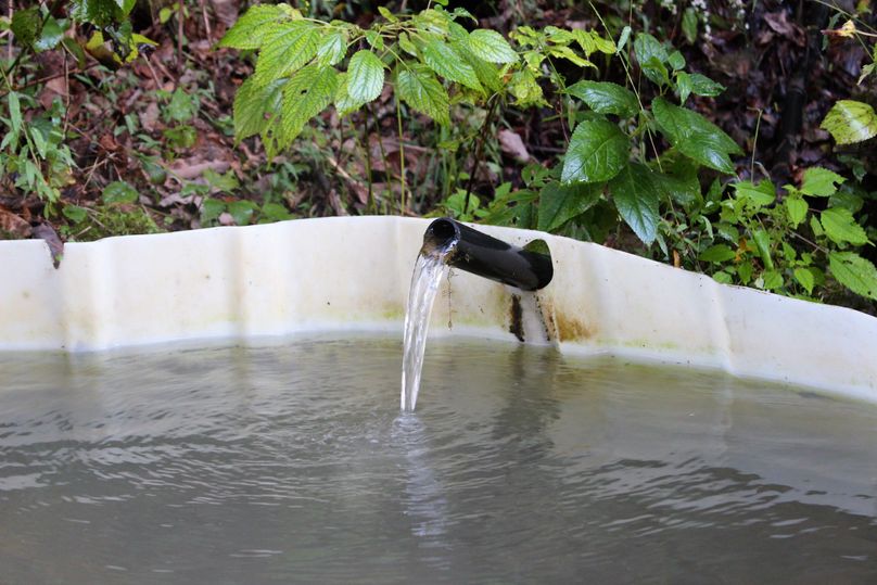 011 natural limestone cliff spring with pipe and reservoir