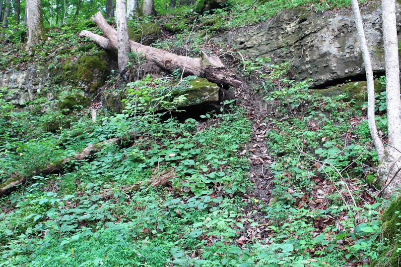 015 heavily worn deer trail coming down between the rock cuts-2