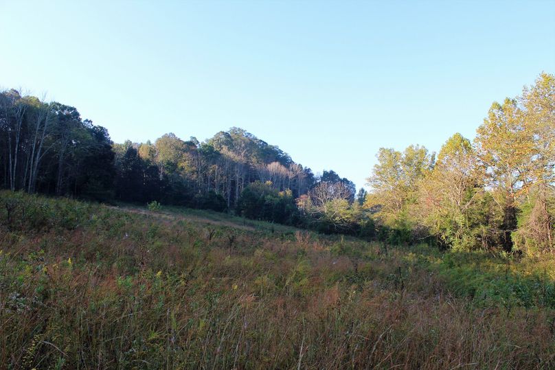 018 large field in the southeast portion of the property near the year-round creek