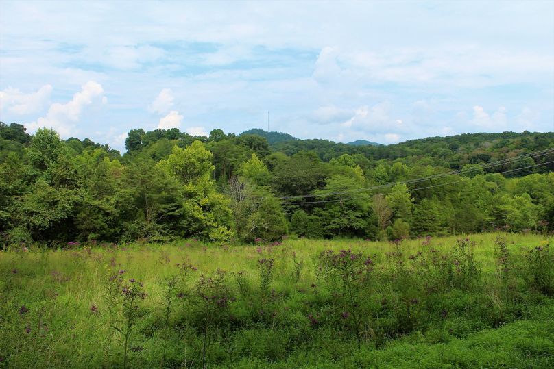 021 one of the many large pasture fields ready to be planted with food plots-2