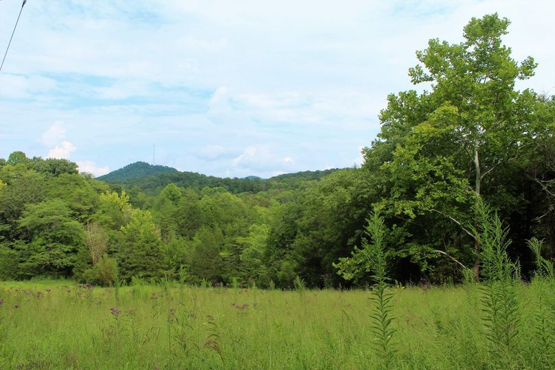 026 gorgeous rolling field with mountain backdrop-2