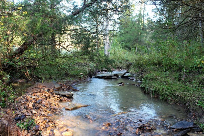 037 year round stream throught the middle of the property near the south boundary of the property