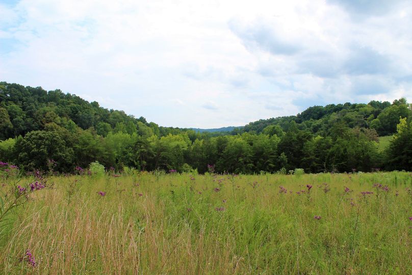 034 gently rolling field facing east just down from the farmhouse-2