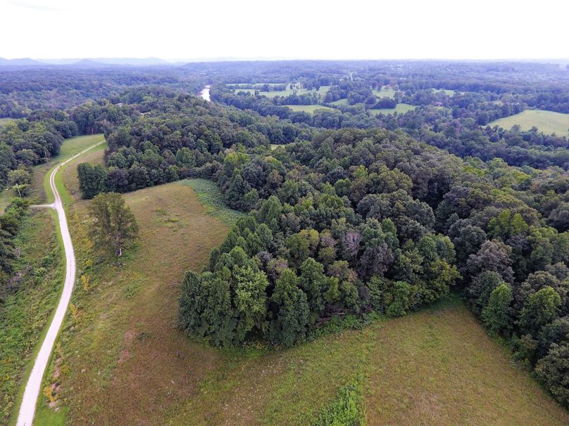 035 the open fields along the west side of the driveway approaching the gated entrance