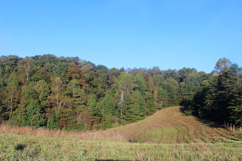 039 rolling pasture fields with the color of fall