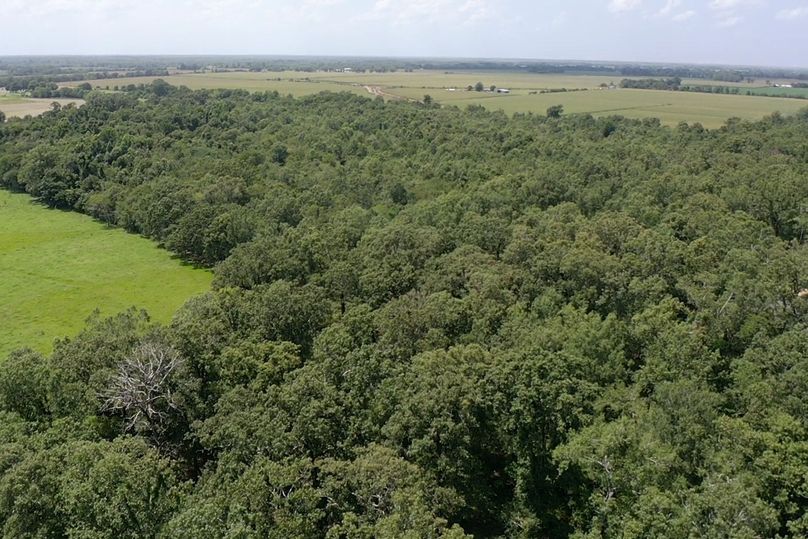 Screen 7dc038d3651e5eea 1626205490899