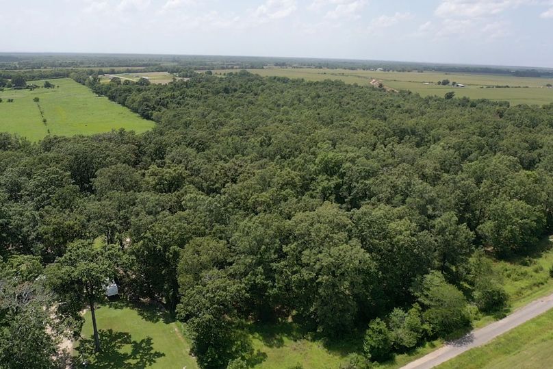 Screen 919814726bd6ea46 1626205464611