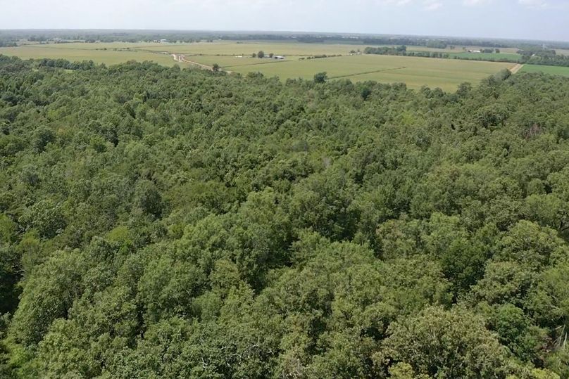 Screen 00077754578f35f6 1626205501693