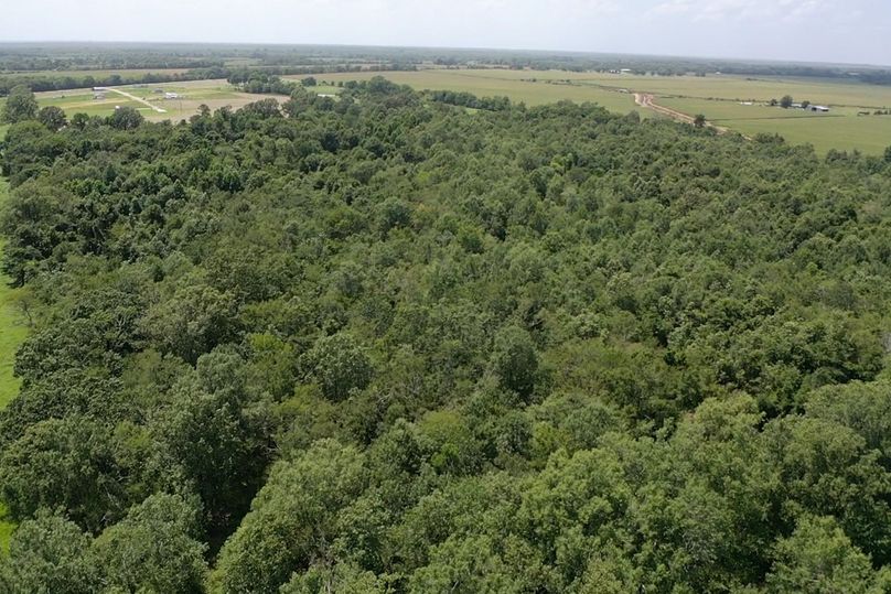 Screen e462e13c4e849ecf 1626205505354