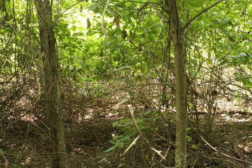 06-heavy cover for bedding