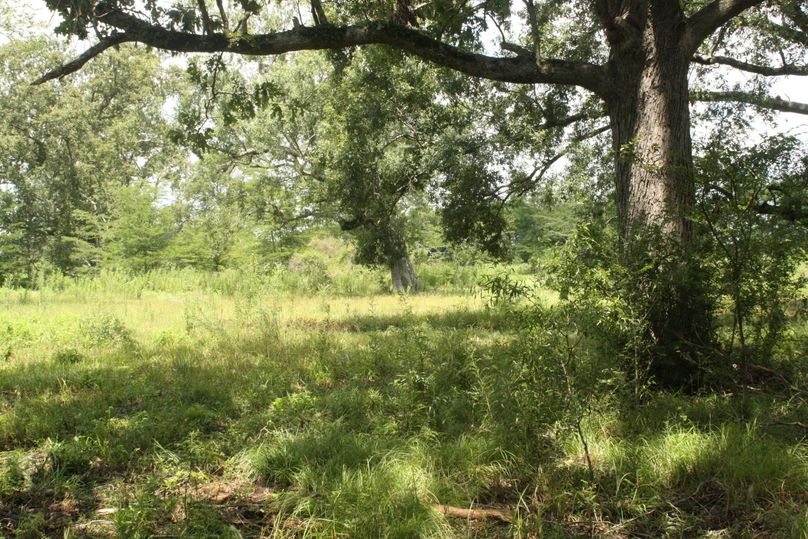 01-campsite roadfrontage