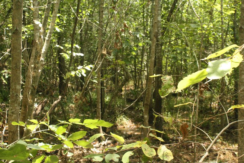 17-thick bedding area