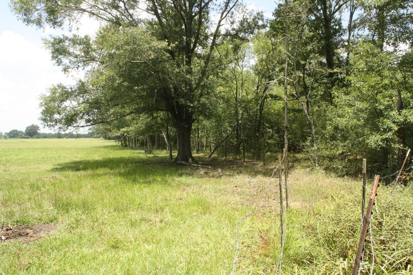 12-bordering pastureland