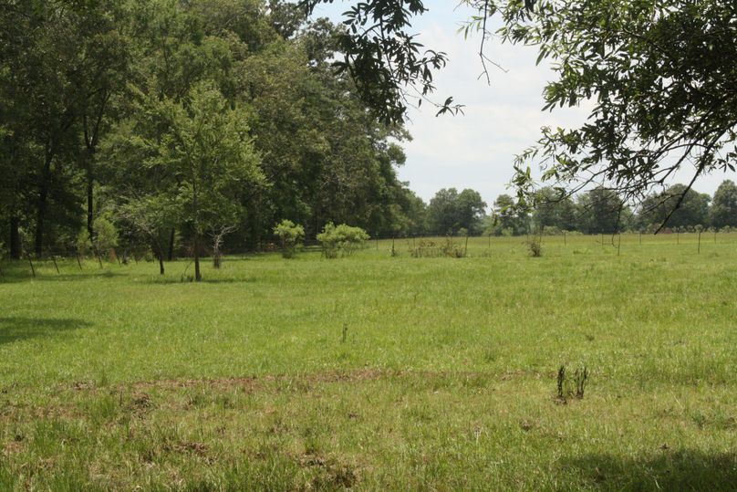 13-pastureland to the west