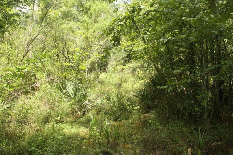 21-thick bedding area