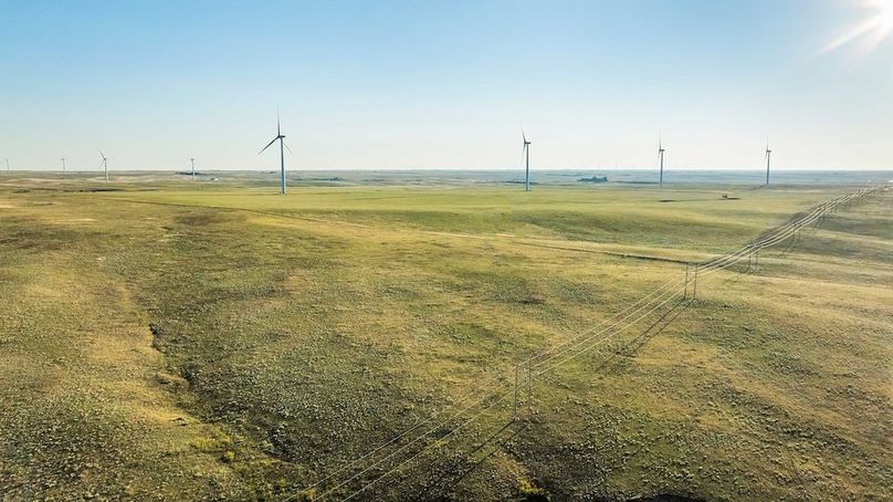 039 - South Fenceline