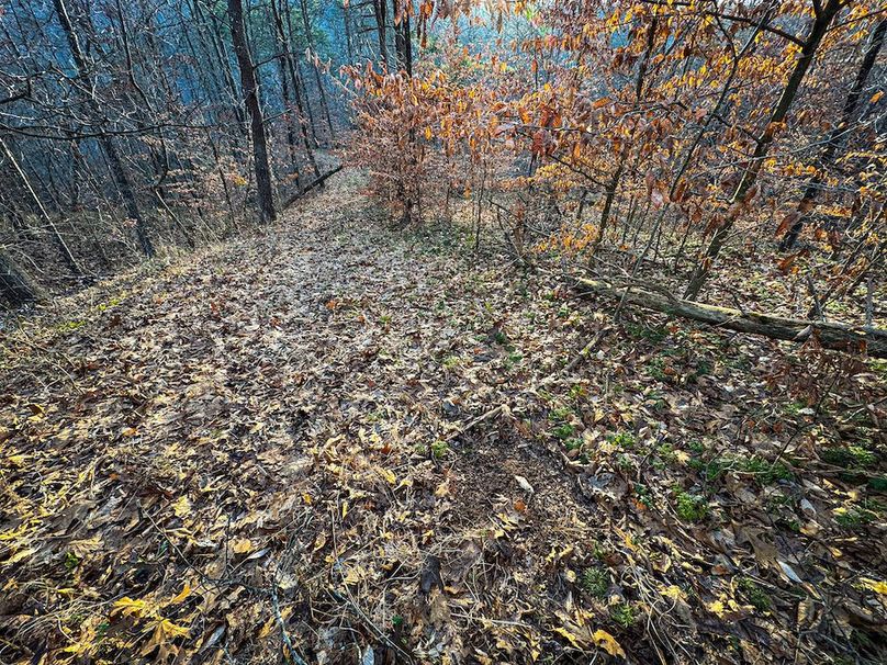 Jackson, WV 118.94 AC Shafer-093