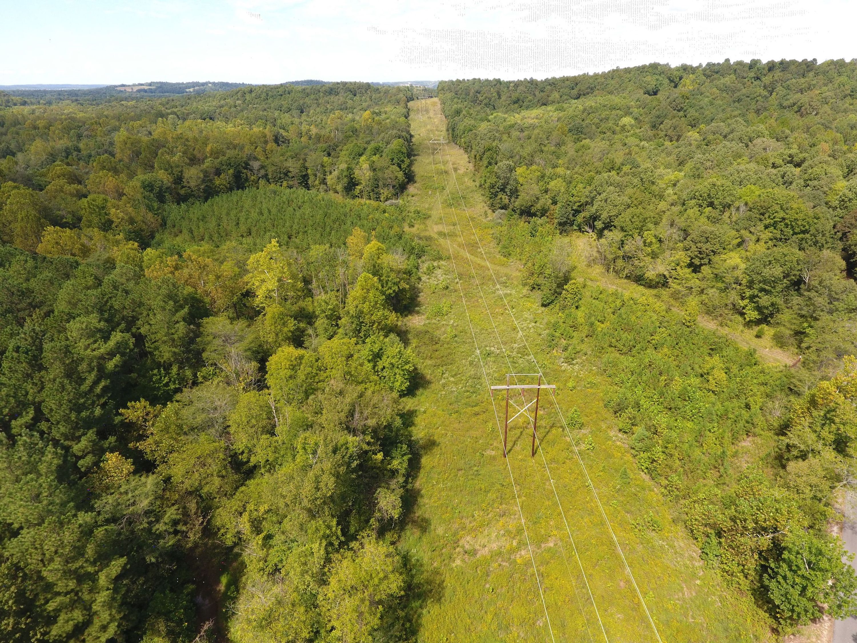 Deer, Turkey And Waterfowl Hunting Land For Sale In Western KY Whitetail Properties
