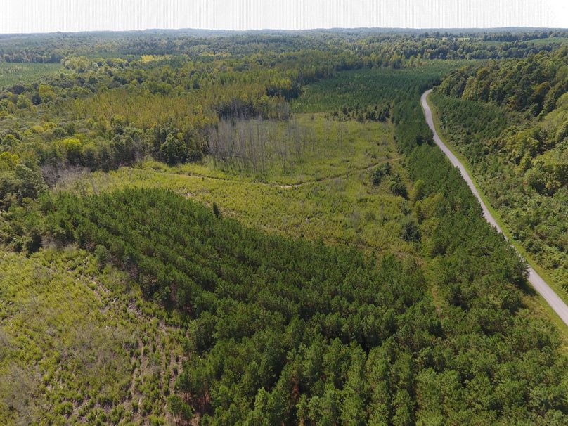 Deer, Turkey And Waterfowl Hunting Land For Sale In Western KY Whitetail Properties