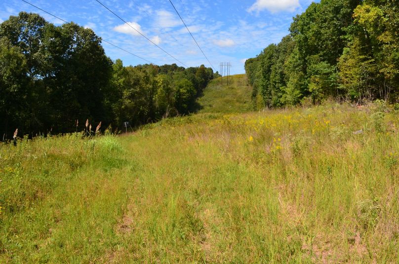Deer, Turkey And Waterfowl Hunting Land For Sale In Western KY Whitetail Properties