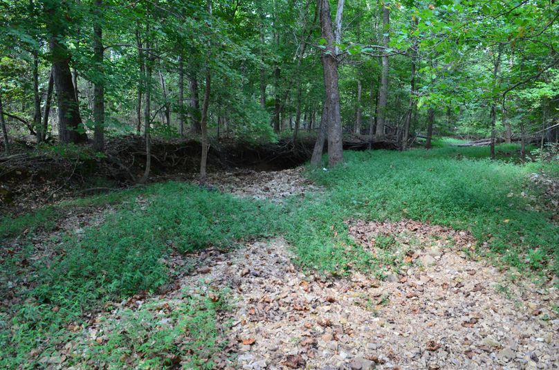 03.sb-ae51c536-teutyn