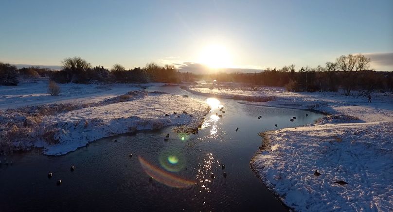 19. the trap is set!