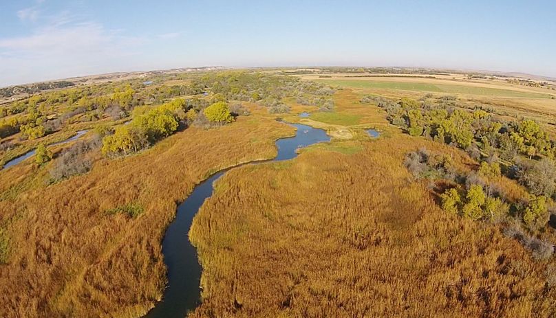11. above east blind in fall