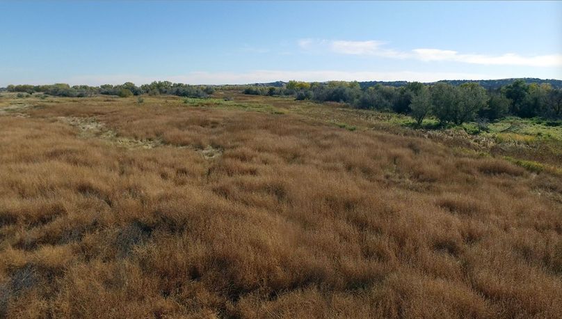 23. transition (deer kill area)