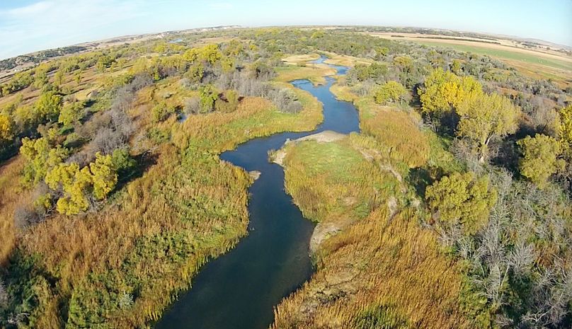 35. looking up a perfect flight line!