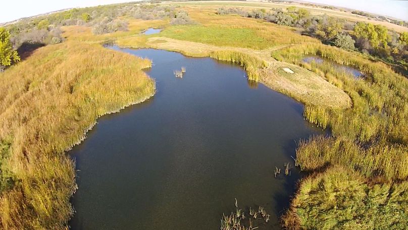 3. east blind site 1