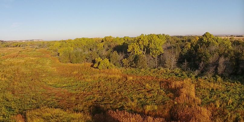 47. beautiful deer edge