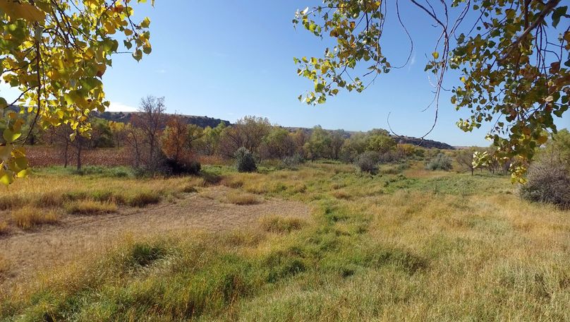 41. from west deer tripod 2