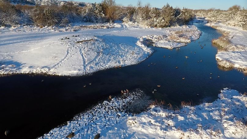 57. middle blind cold hunting