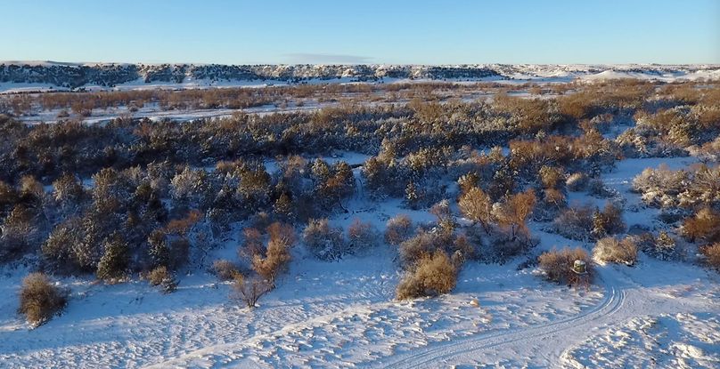 53. lots of woods looking south