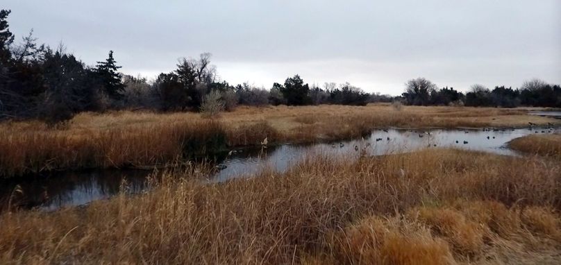 65. pre snow at eye level